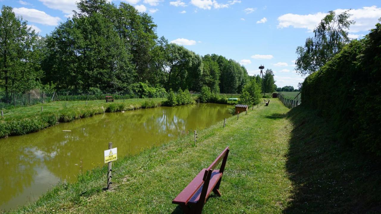 Agro Na Wapniarni Biala (Trzcianka, Czarnkow-Trzcianka) Exterior foto