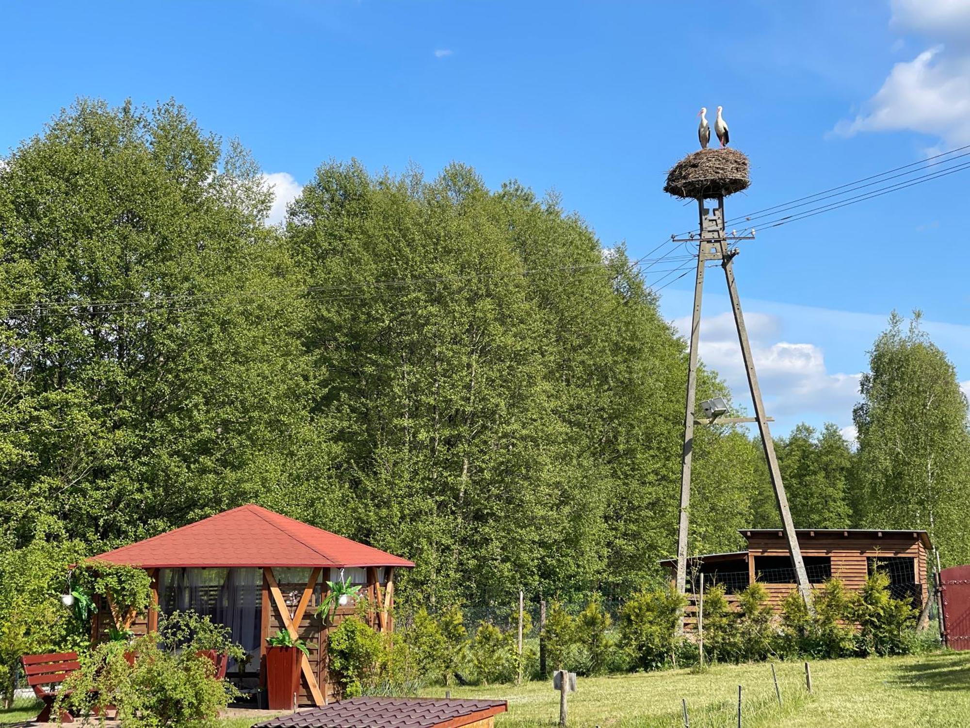 Agro Na Wapniarni Biala (Trzcianka, Czarnkow-Trzcianka) Exterior foto